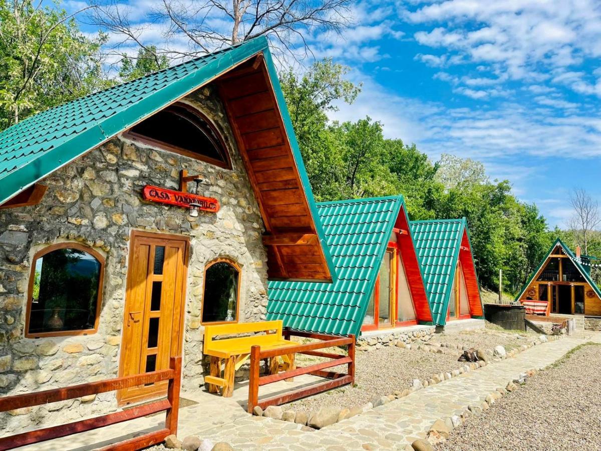 Catunu' Lui Emil Villa Carbunesti Buitenkant foto