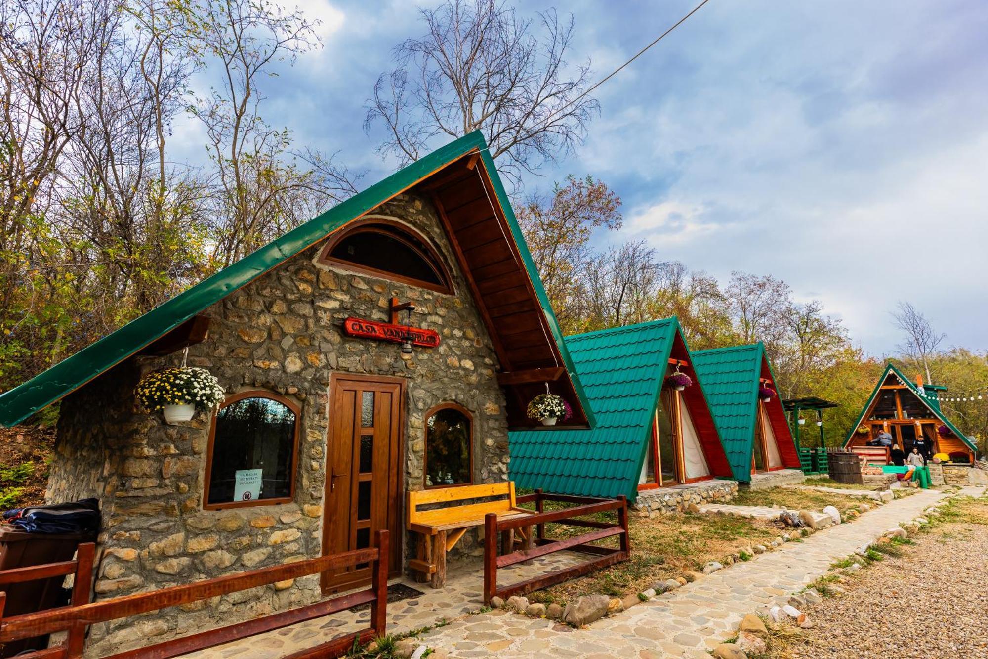 Catunu' Lui Emil Villa Carbunesti Buitenkant foto